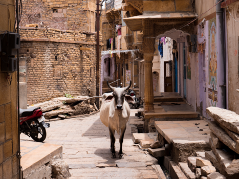 India - Streets of India