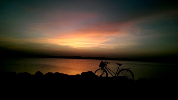 Polonnaruwa - Een stukje Nederlandse cultuur in een paradijselijk ver oord!