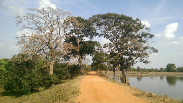 Polonnaruwa