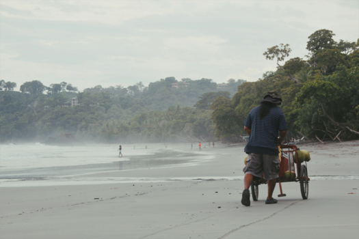 India - Manuel Antonio