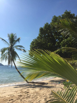 Rondreis Thailand in vier weken