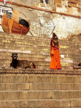 Varanasi - Holy & Happy together