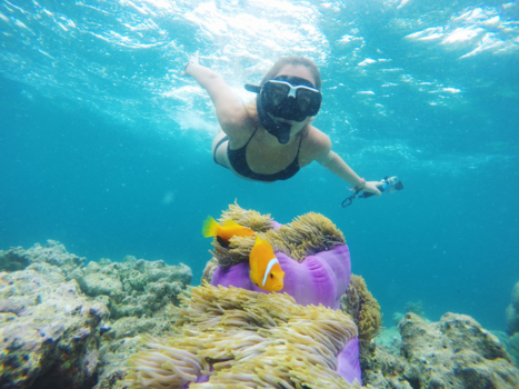 Malediven - Finding Nemo