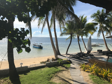 Filipijnen - Relaxed on de palmbomen