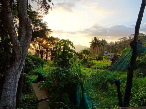 Sri Lanka - Puur natuur!