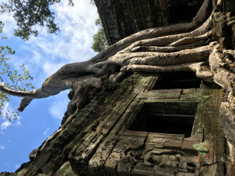 Angkor Wat - Tomb Raider