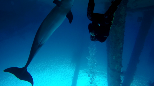 Israël - Diep in de zee