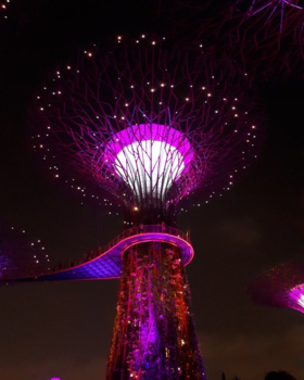 Singapore - Fairytale lights in Singapore