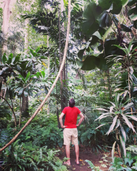 Sri Lanka - Welcome to the jungle