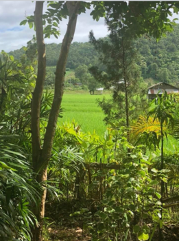 Rondreis Noord-Thailand - Uitzicht vanaf balkon