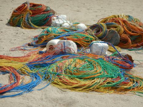 Sri Lanka - Visnet op het strand uppuveli