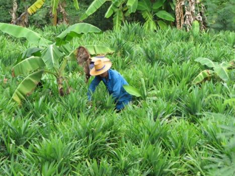 Angkor Wat - Cambodja