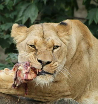 India - Laatste foto van mijn dochter Lisa