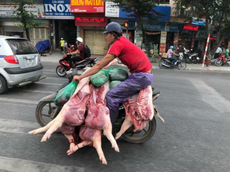 Rondreis Vietnam in vier weken - ALLES in vietnam kan mee op de scooter