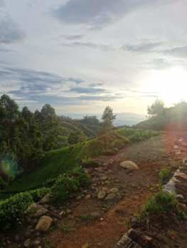 Sri Lanka - Lipton seat..  😍