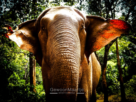 Cambodja - Light opens you eyes