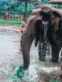Thailand - Elephant Nature Park
