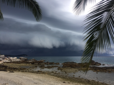 Maleisië - Tropisch buitje