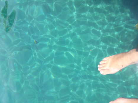 Java - Dromen om ooit naar Indonesië te mogen gaan.