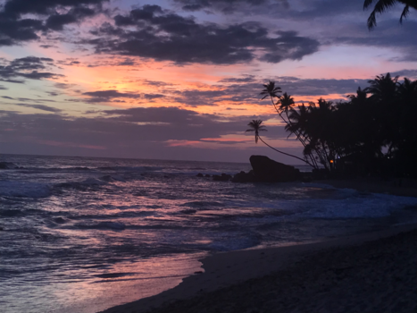 Sri Lanka - Beautiful sunset at the beach 🌴