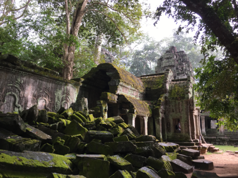 Cambodja - The loneliness of Ta Prohm