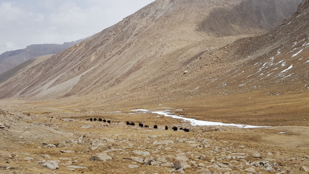 Ladakh - Wari la pas