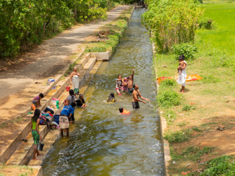 Sri Lanka - Wasbeurt met heel de familie