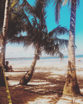 Filipijnen - Morning in siargao