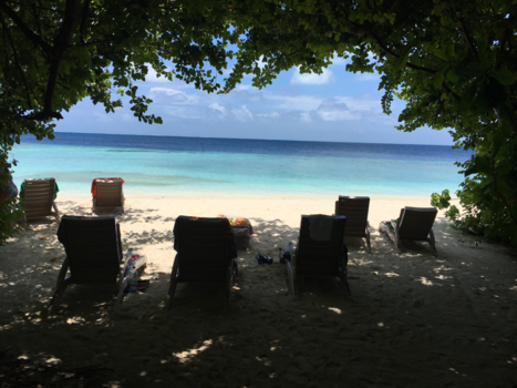 Malediven - Droomeiland