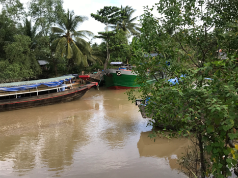 Vietnam - Mekong Delta