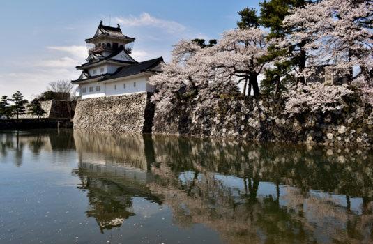 Japan - Sakura bij het Toyama Castle