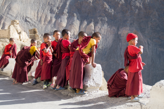 India - Nieuwsgierige monniken!