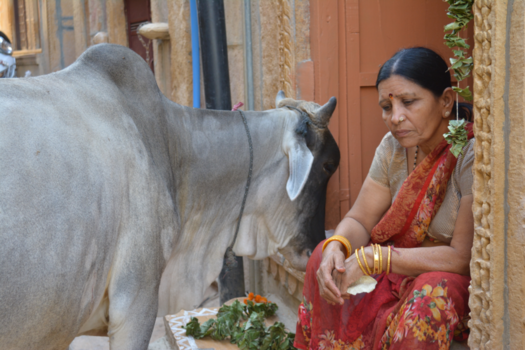 India - incredible india