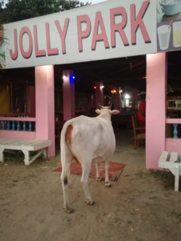 India - iedereen is welkom