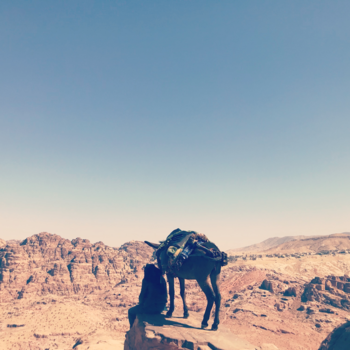 Petra - King of the world