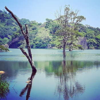 Sri Lanka - Mooi Sri Lanka