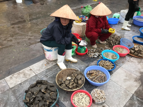 Halong Bay - Vis ,vis ,vis