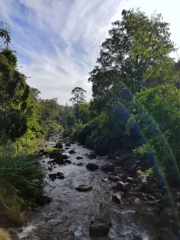 Adam's Peak - een rivier onderweg naar beneden