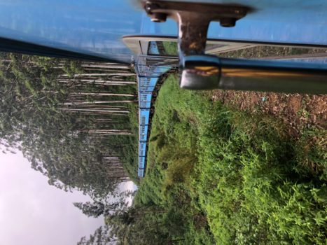 Sri Lanka - Sri Lanka: Awesome traintrip