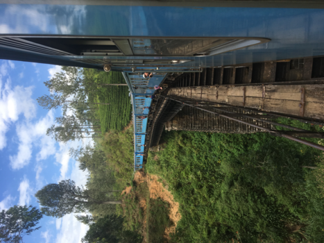 Sri Lanka - Wondermooie treinreis van Kandy naar Ella