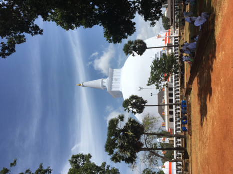 Sri Lanka - Parelwitte Stupa, heilige grond voor vele Boedhisten