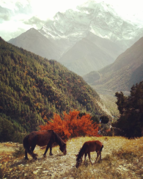 Annapurna Trail Trek - Painting