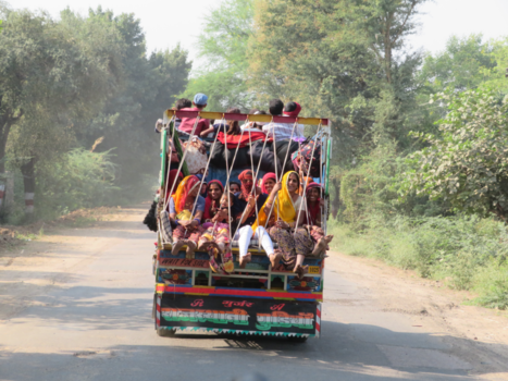 India - We worden ingehaald. Bedevaartgangers komen vanaf tempel bij Ranthambore