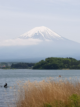 Japan - Japan, het land van de reizende berg Fuji