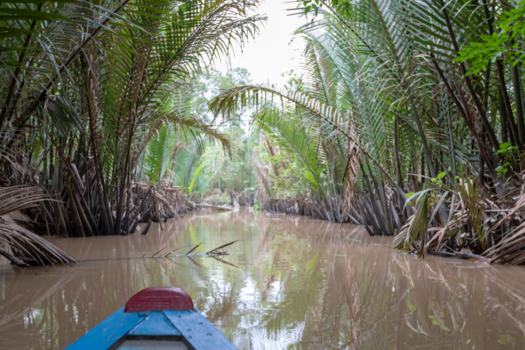 Vietnam - "Naar het licht". Zijrivier Mekong Delta , Noord Vietnam