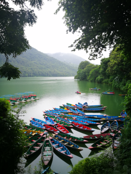 Pokhara - Boats to paradise