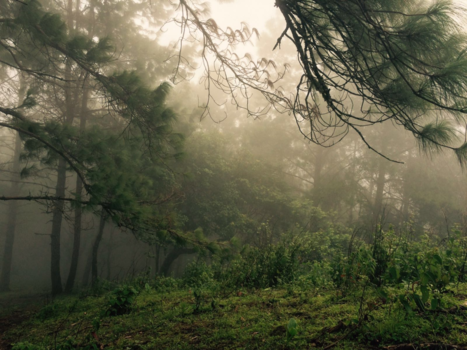 Chiang Mai - Vlak voor de storm op een berg bij Mae Taeng