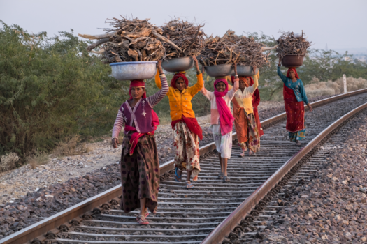 Bikaner - Brandhout verzamelen, local style
