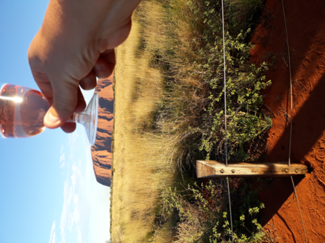 Jordanië - Australie