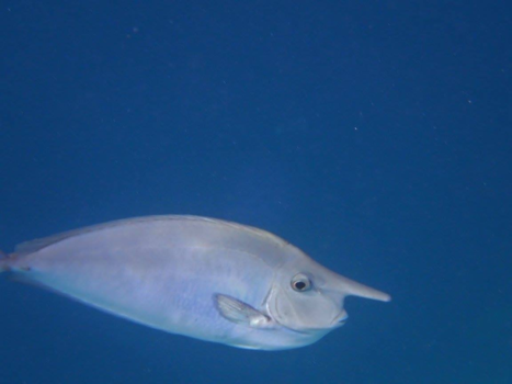 Malediven - Welkom in de malediven